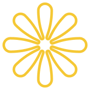 实时比分 - 九游官网nuojiehua